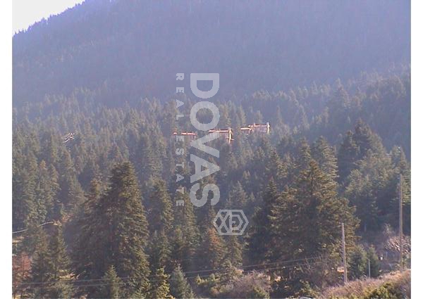 image-location